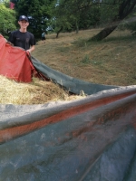 Vogelwiese Eisbaeren 2023